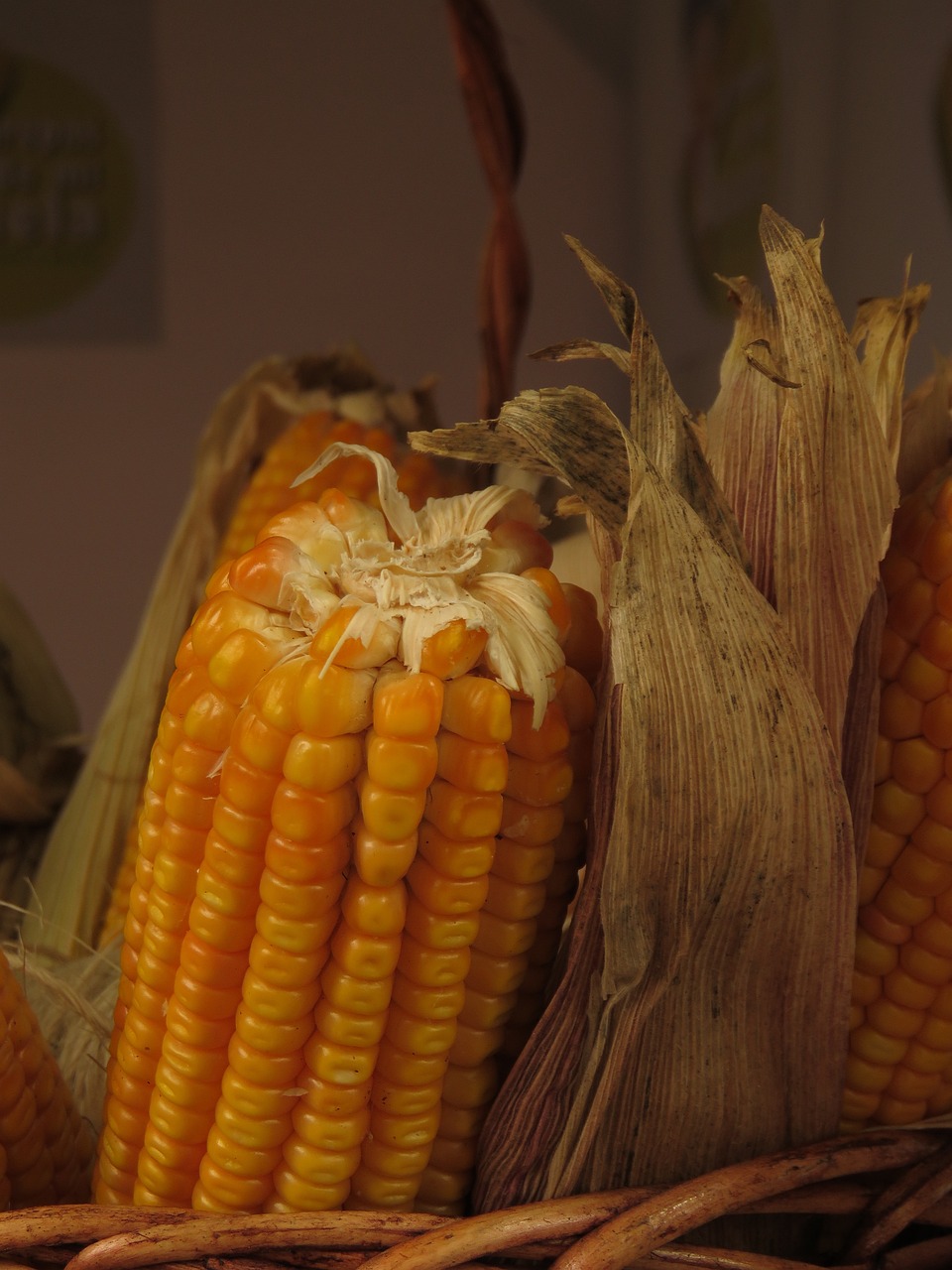 中储粮，守护国家粮食安全的坚实力量