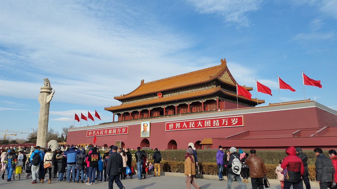 中国女排，斗志不屈，荣耀辉煌之路