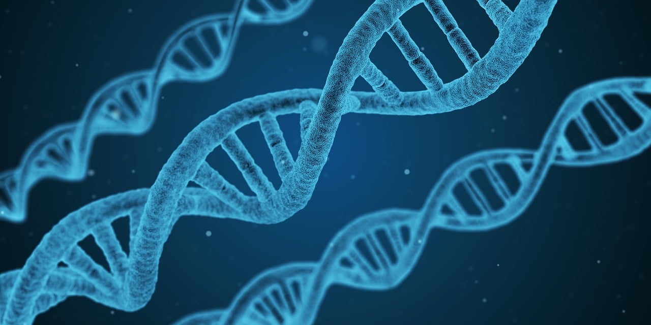 大学生物化学教材深度解析与探讨专题研究