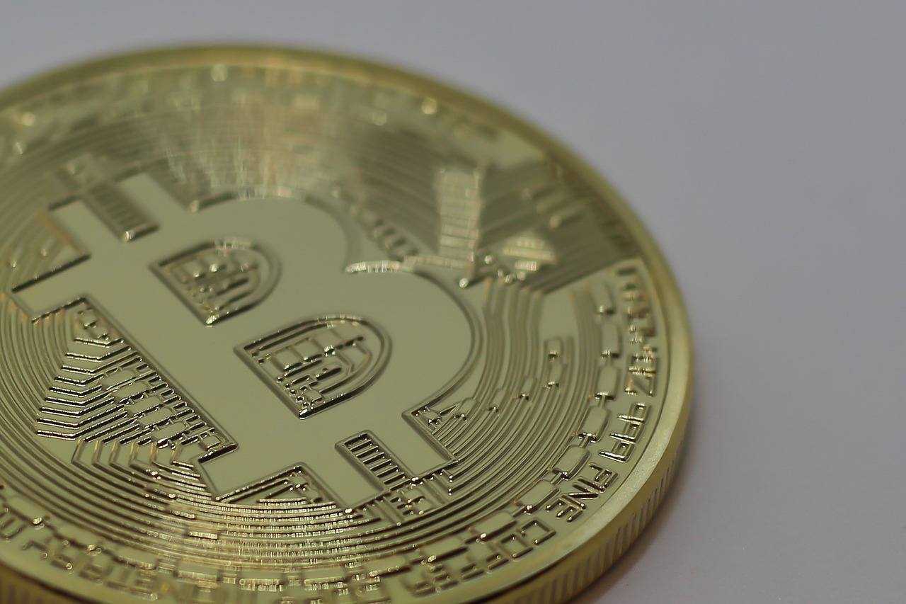 中药网最新大力子价格动态，市场趋势深度解析与价格解析