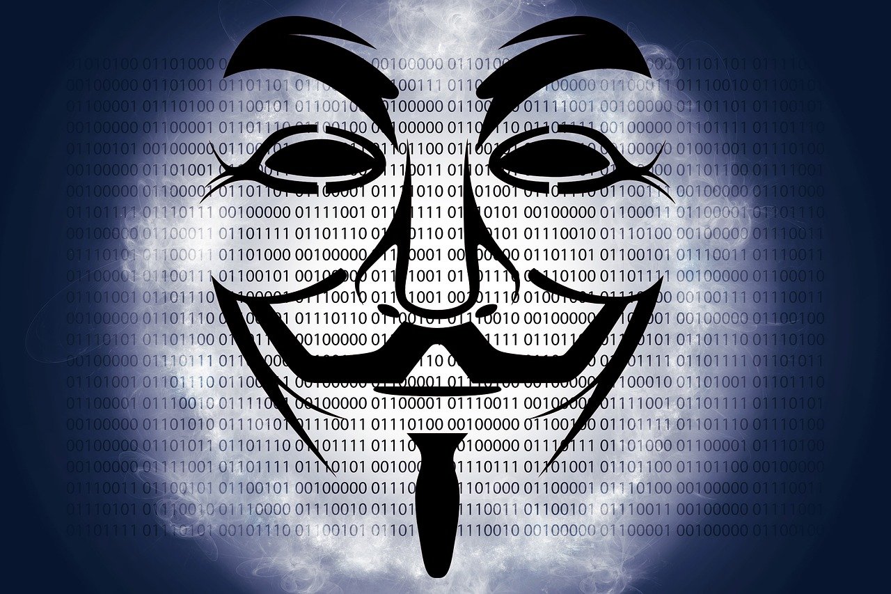 林怀勇最新动态揭秘，自媒体作者的独家观察与解读报告