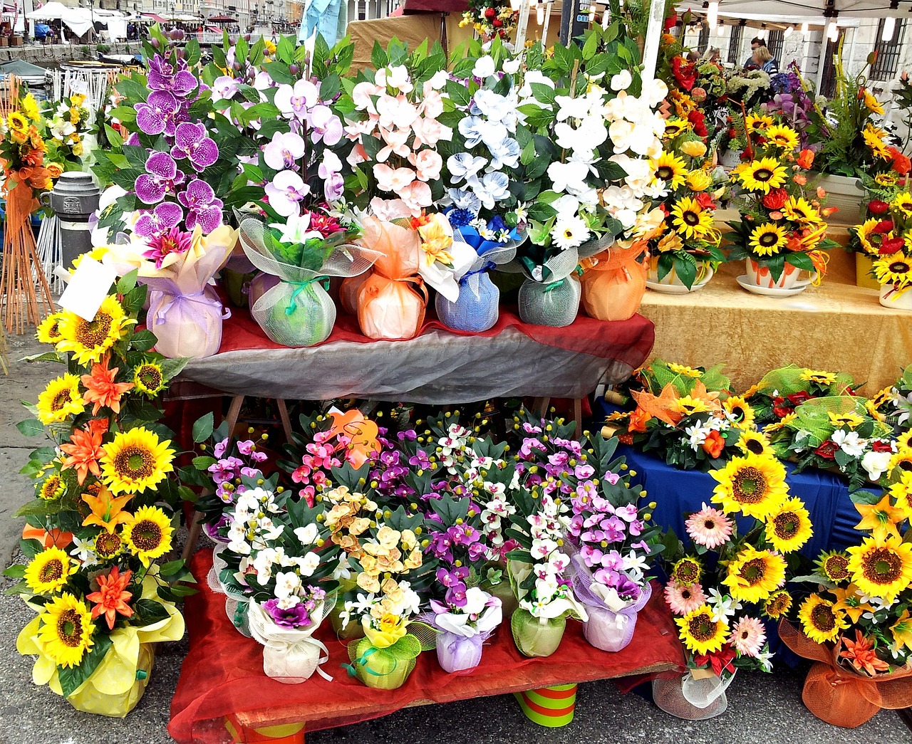 各种鲜花批发价格概览及市场行情分析